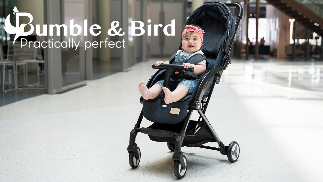 bumble and bird travel stroller