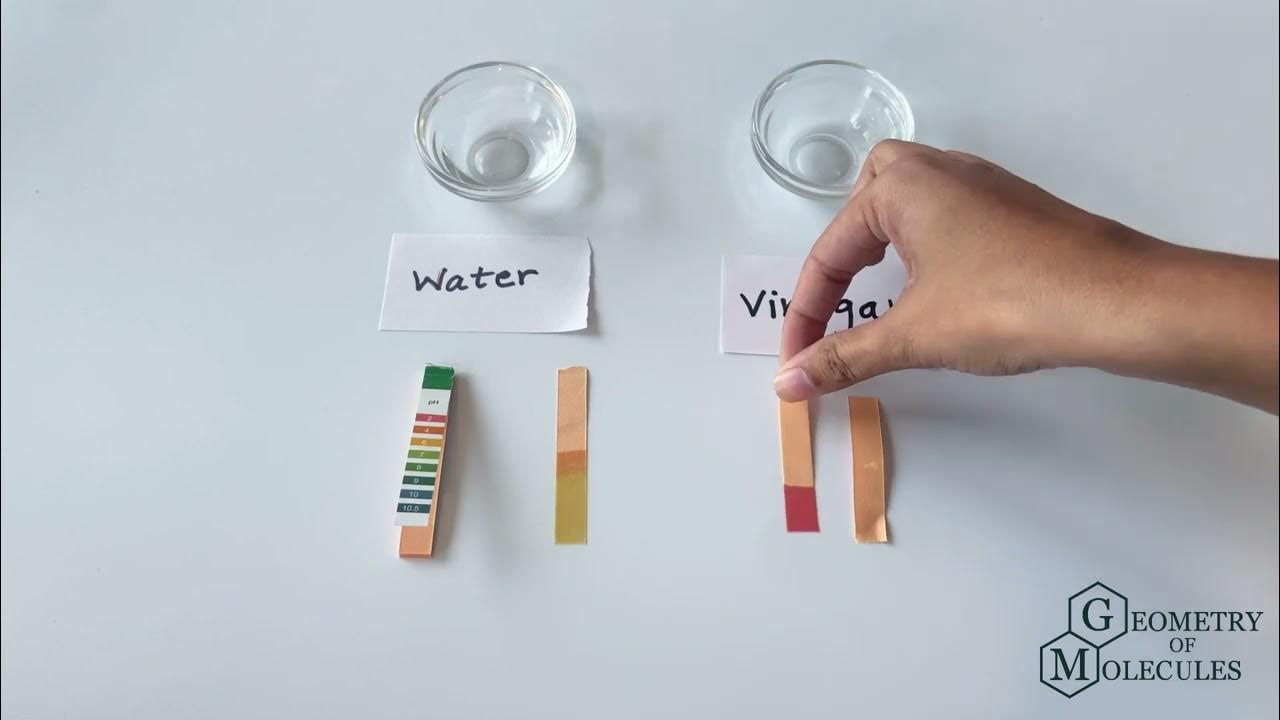 pH of Vinegar Is vinegar an Acid or Base? YouTube