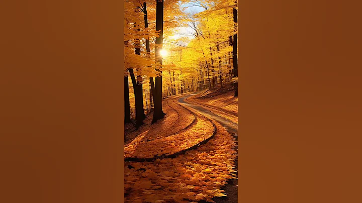 A Walk Through Colors: Sunlit Roads Blanketed with Golden Leaves and Trees
