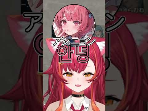 あかりんのパッション韓国語で爆笑する猫汰つな【ぶいすぽ切り抜き】