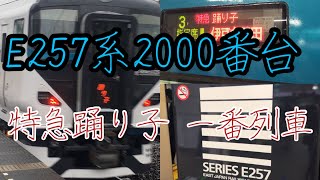 【乗車記】【3月14日ダイヤ改正】E257系2000番台で運転される新型踊り子の一番列車に乗車してきた。