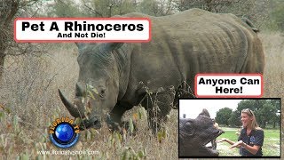 Pet A Rhino Without Dying! - As Seen On Florida TV screenshot 3