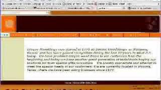 Information Email Vidcast News