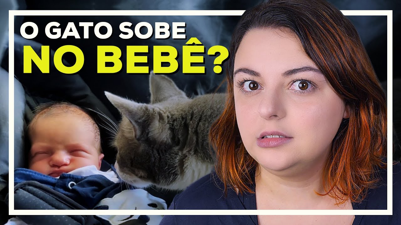 24 Gatos e Um Bebê | A REALIDADE Um Ano Depois
