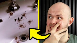 Czego nie wiedziałeś o filmie ARACHNOFOBIA?