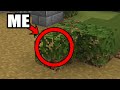 Playing BLOCHUNT & PillarsOfFortune on MacMC