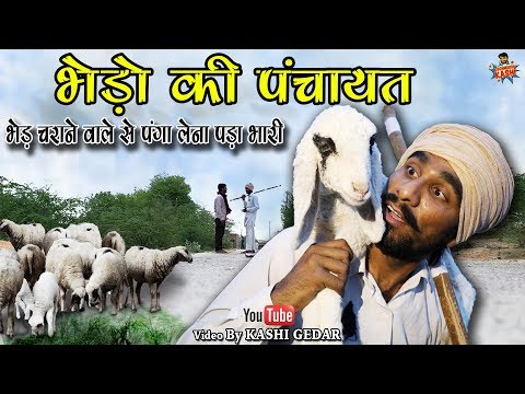 arbitral-the-sheep-भेड़ों-की-पंचायत-rajasthani-haryanavi-comedy-video-by-#kashi_gedar