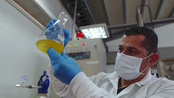 Laboratorio de Procesos