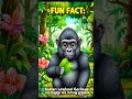 Animal Fun Fact #33 "Gorilla" #didyouknow #funfacts #fyp #gorilla