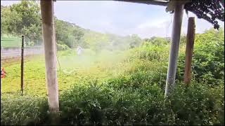 desbrozando terreno en galicia