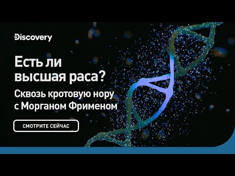 Есть ли высшая раса? | Сквозь кротовую нору с Морганом Фрименом | Discovery