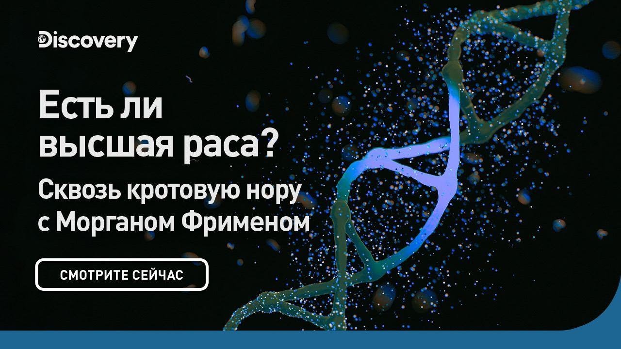 ⁣Есть ли высшая раса? | Сквозь кротовую нору с Морганом Фрименом | Discovery