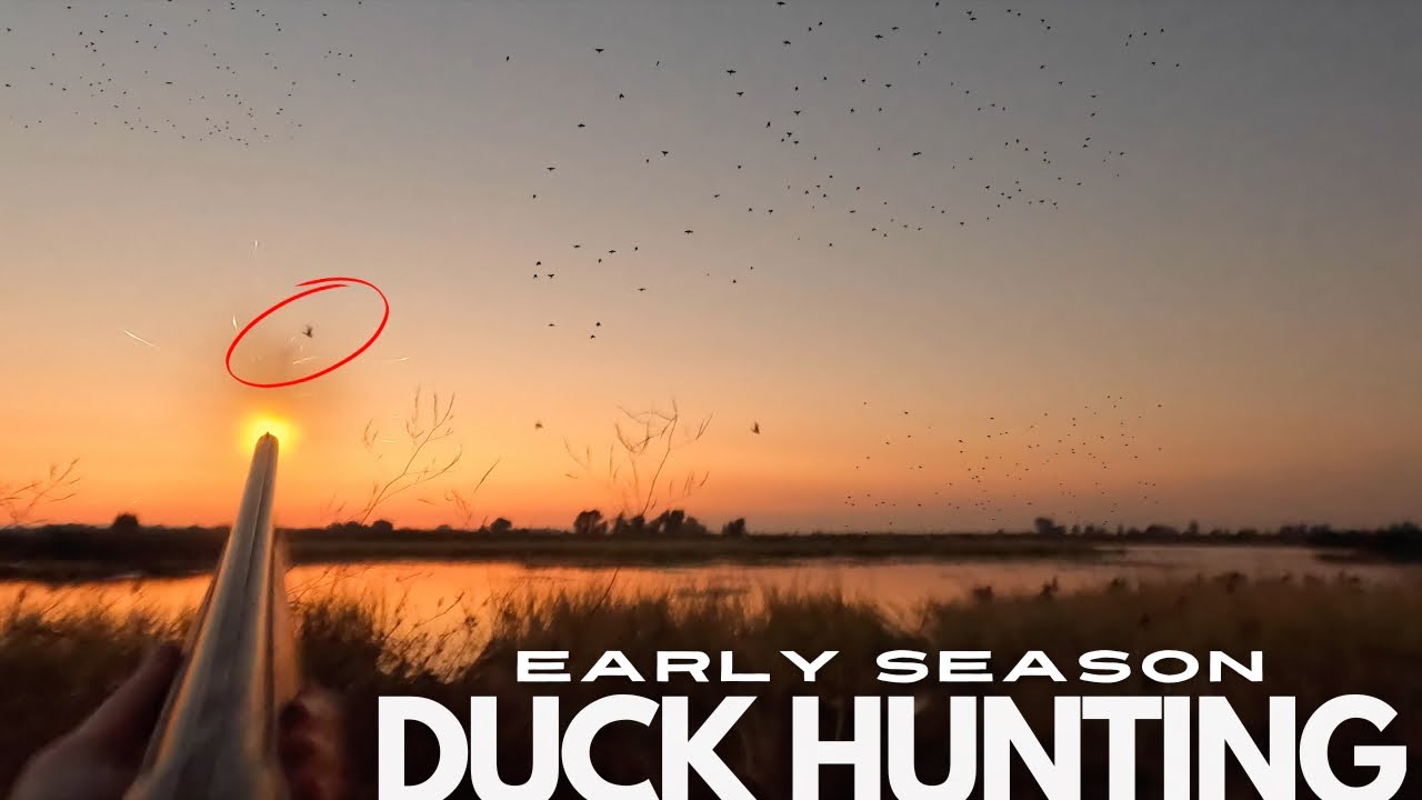Duck Hunting a California Refuge : Llano Secco Unit of the Upper Butte Basin