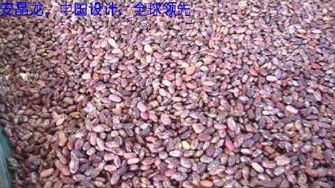 Kidney beans sorting/separation/color sorter:jromchen@hotmail.com