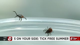 5 On Your Side Prep Your Yard For A Tick Free Summer
