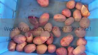 Celebrity Potato And Vegetable Sorting Equipment Automatic Size Sorting Machine For Apple Peach Pear Orange Wealth