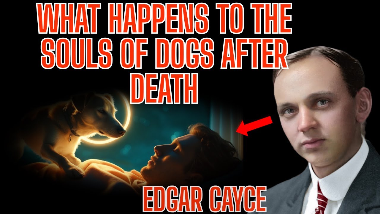 What If Your Dog’s Soul Never Left You? 