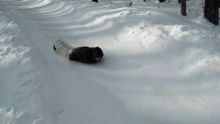 MVI_7422.AVI