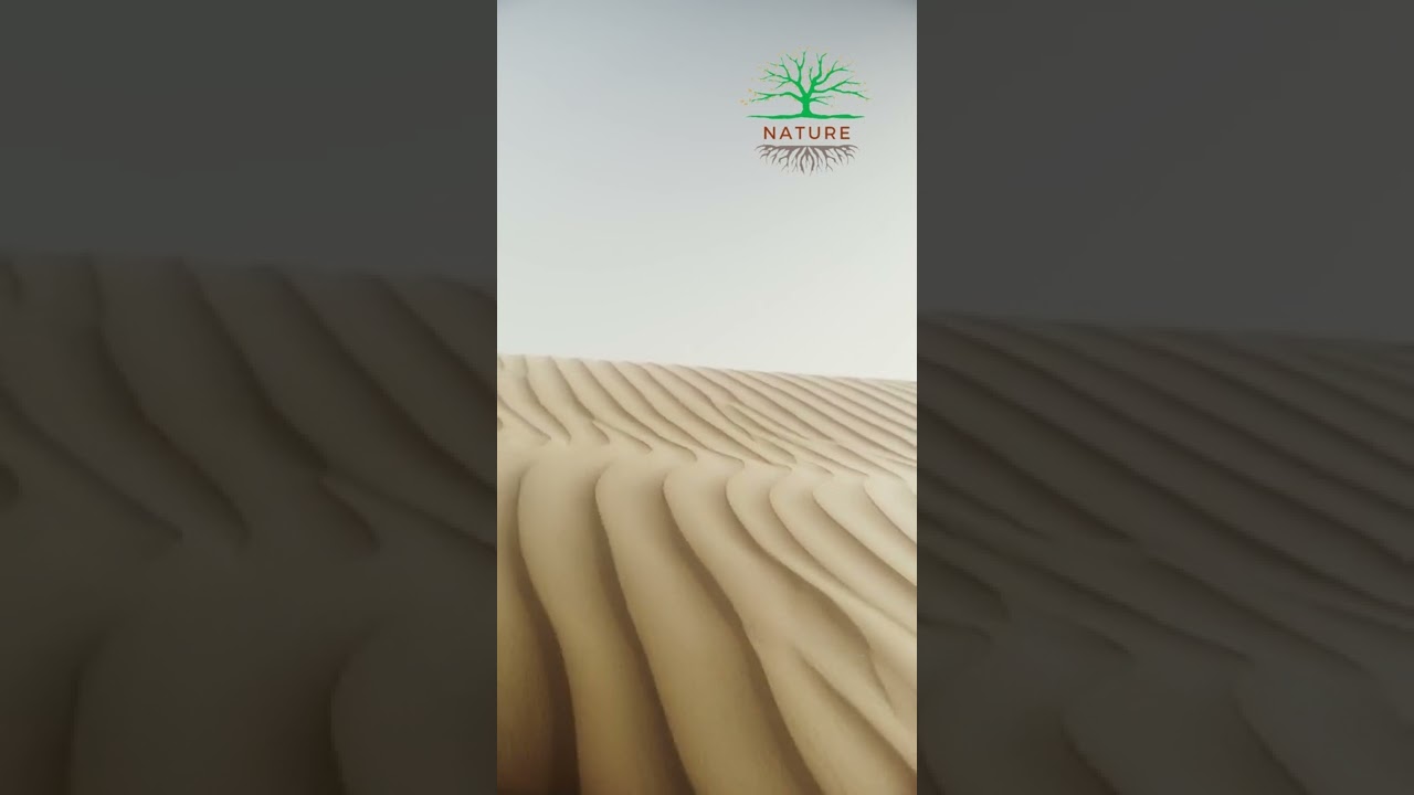 Смотреть «Plain Desert» на YouTube Смотреть «Plain Desert» на YouTube