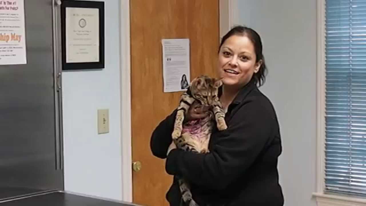 Gina G. Video Testimonial for Lunenburg Veterinary Hospital