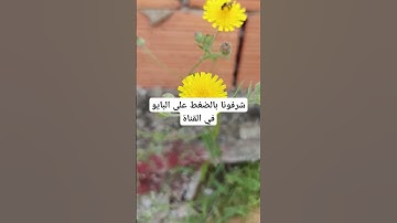 القرآن الكريم بصوت جميل #لايك #quran #ناصر_القطامي #mbc #خالد #تفاعل #تلاوات #حالات