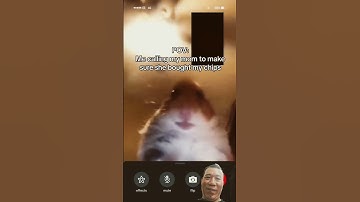 Hamster Calling Meme #TheManniiShow.com/series