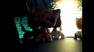 LPS: MV: Танцы под луной LPS: MV: Танцы под луной