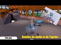 Horse valley roblox  routine de l aprem et du matin   rp