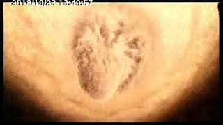 Guinness Beer Made Of More Club 20S Oct 18