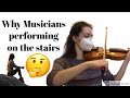Motivationwhy musicians performing on the stairs shorts by jags rocks