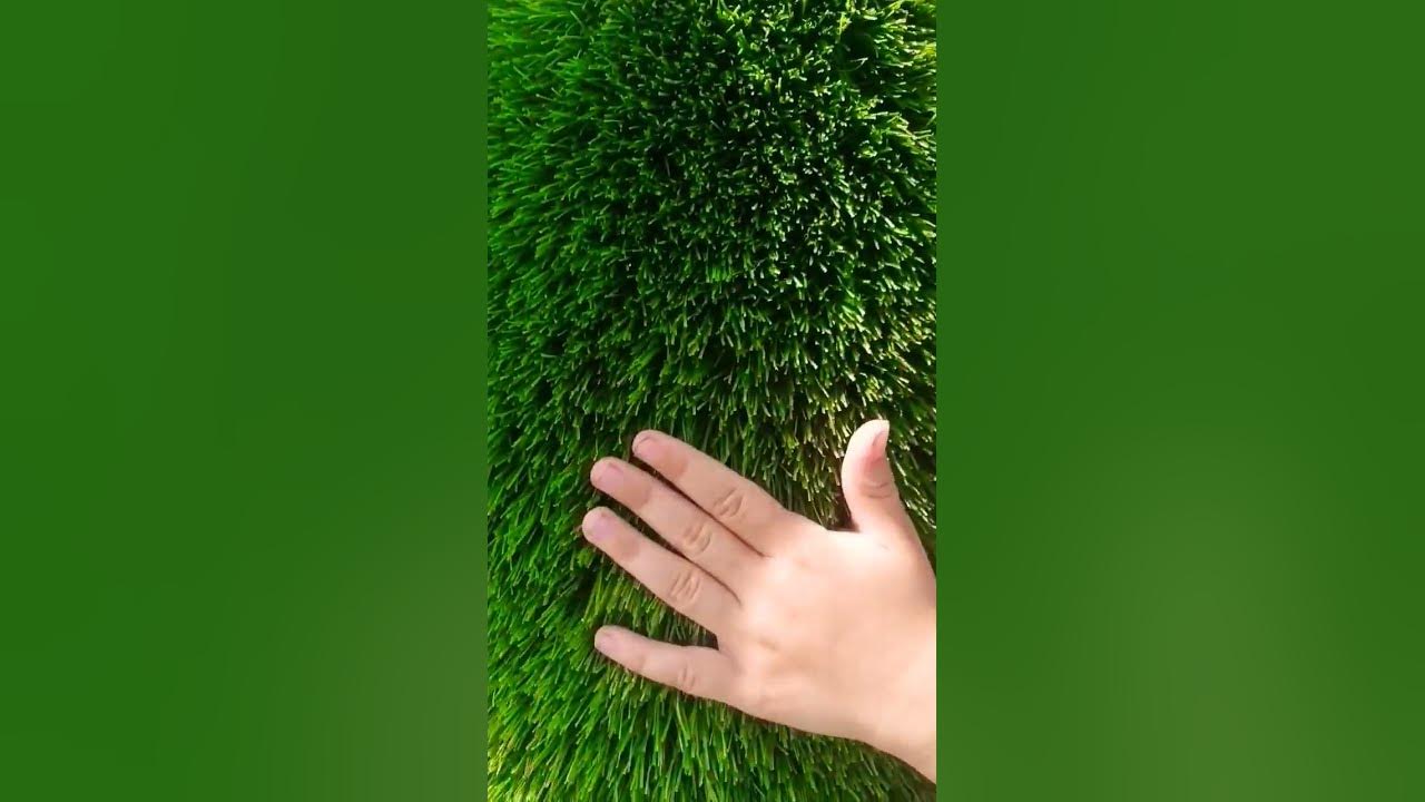 Avery Gloss grass Green