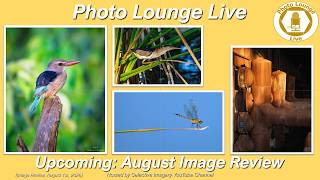Photo Lounge Live- Image Review, Aug 1st @ 9PM EDT