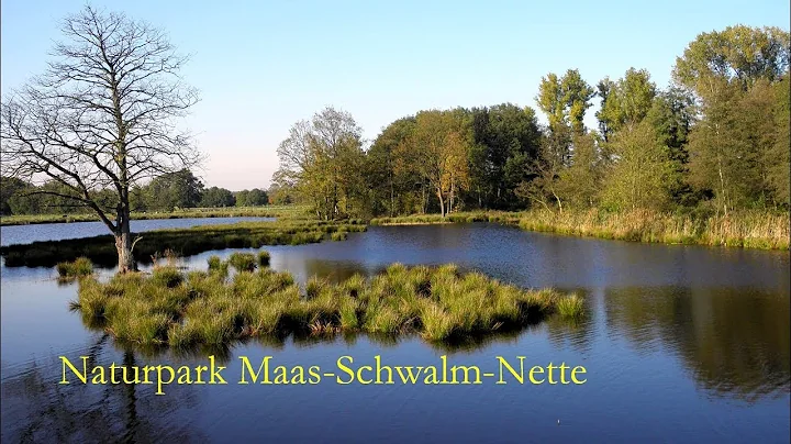 Naturpark Maas-Schwalm-Net...  - De Wittsee - Niederrhein