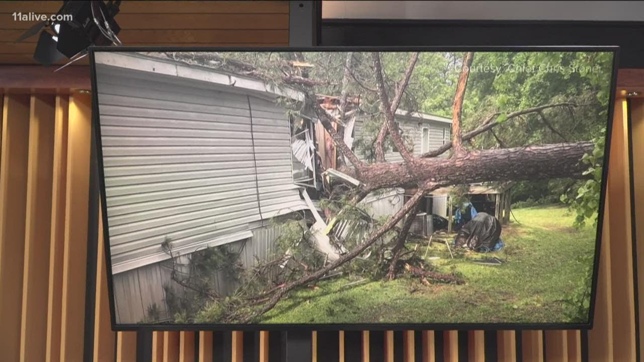 Woman killed after tree falls on her home in Bonaire