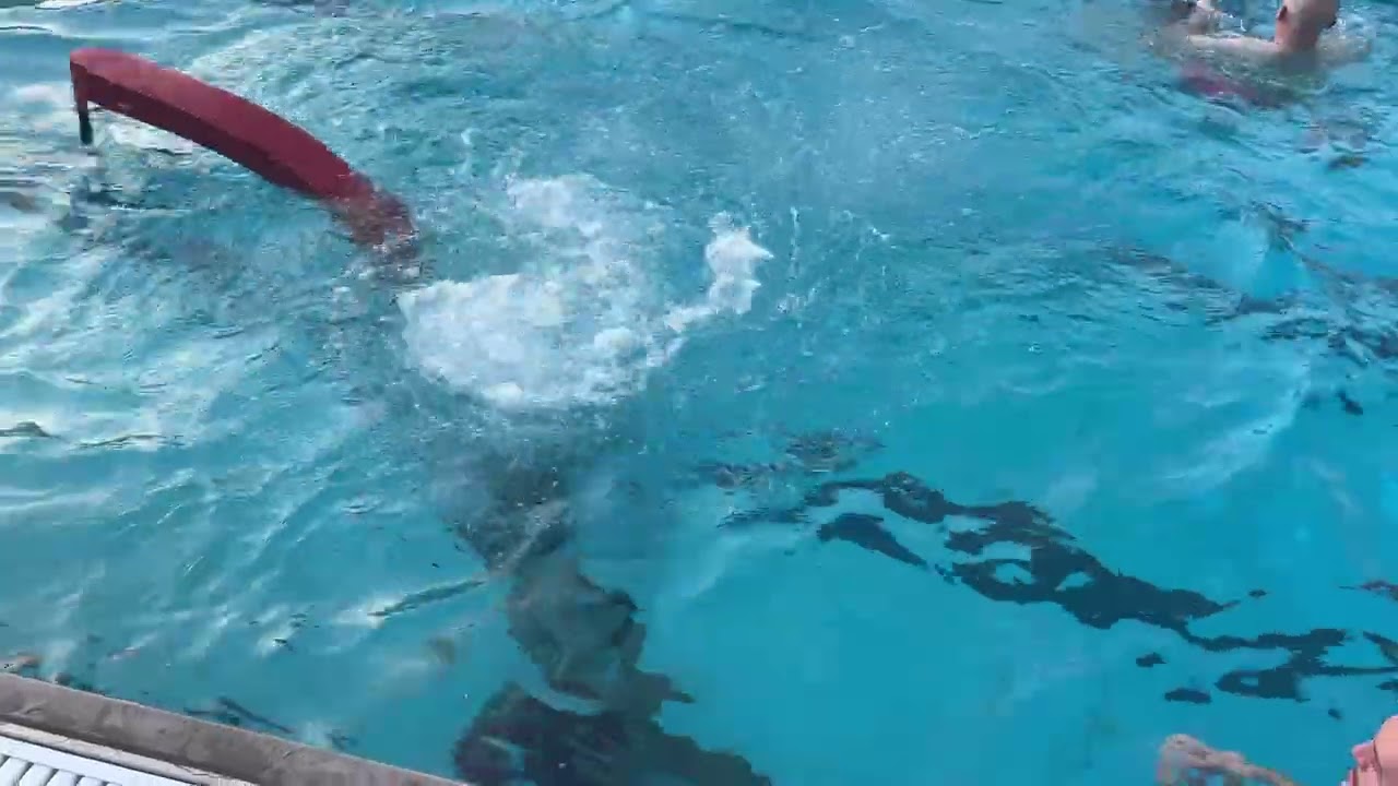 8/11/25 Water Rescue Drill 2