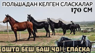 :    