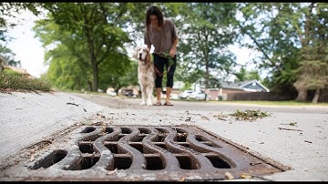 Stormwater: Tips to Keep it Clean