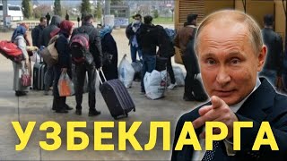 МАНА ЯНГИЛИК ЧЕГАРА ОЧИЛДИ ЧЕГАРАДАГИ УЗБЕКЛАР УЙИГА КАЙТИШДИ ХАММА КУРСИН...