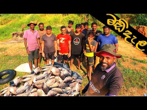 මඩි දැල @wishwatiyubaya 👣😲🐟