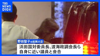 野田聖子元総務大臣が渡海政調会長らと会合　前回総裁選の推薦人が中心　連携深める狙いか｜TBS NEWS DIG