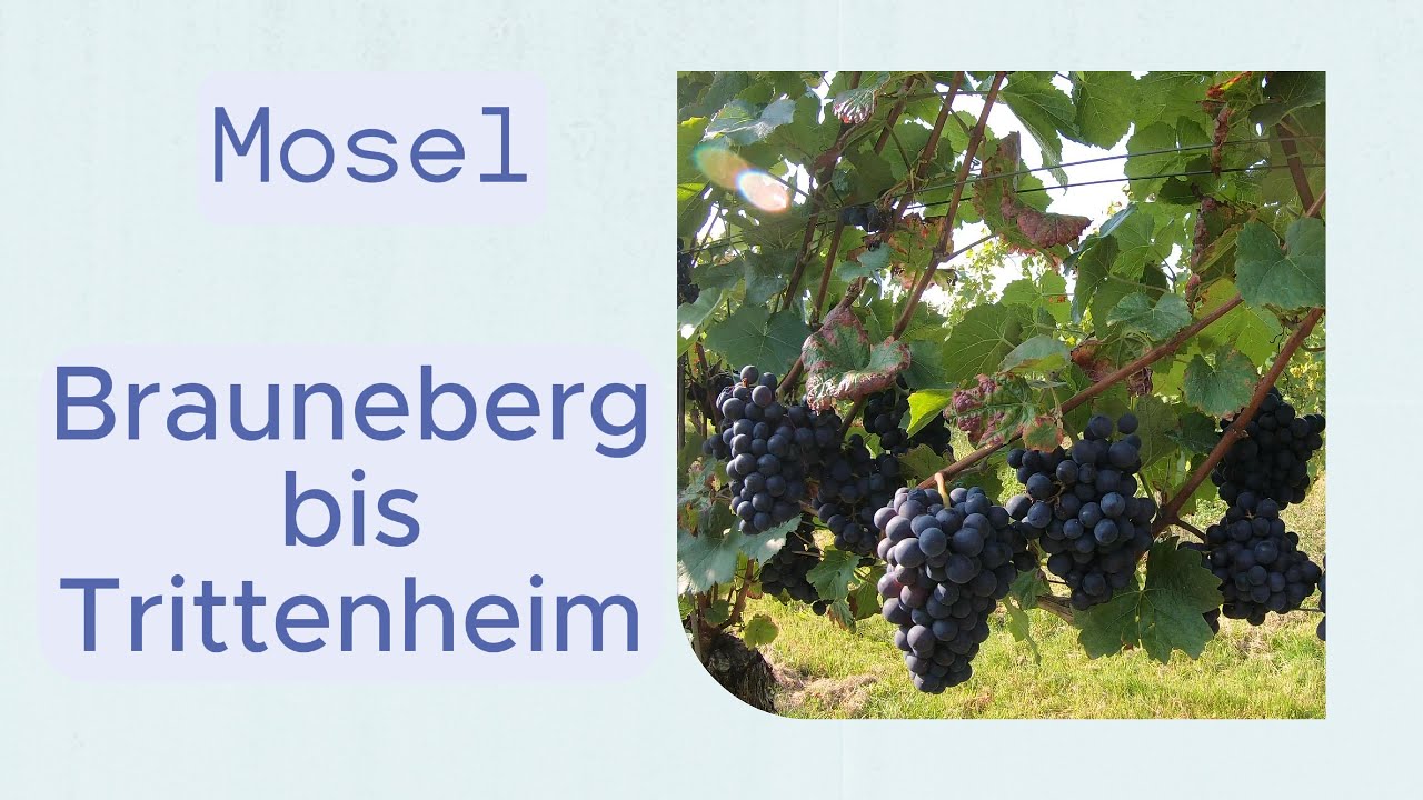 Brauneberg an der Mosel mit dem E-Bike.