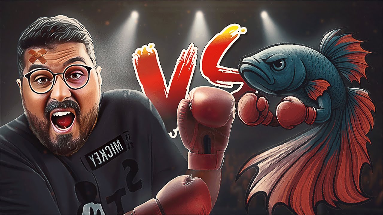 هل سمكة الفايتر سهلة التربية؟ اكتشف أسرار العناية بسمكة الفايتر او سمكة البيتا