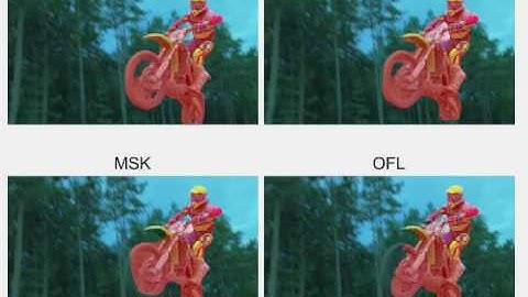 DAVIS segmentation comparson semi supervised