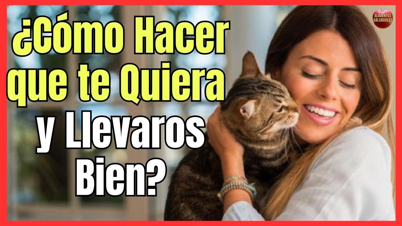💖 ¿CÓMO HACER QUE MI GATO ME QUIERA? 💖 12 CONSEJOS PARA LLEVARSE BIEN
