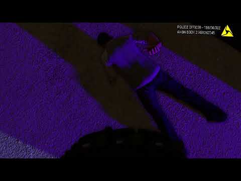 2023/11/27 felony stop | gmod realism
