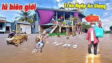 Mùa lũ 2025 Campuchia tràn qua AN GIANG lại ngập nữa rồi người dân than khổ