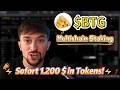 High-Yield Staking: $BTG in Openverse Global für Rendite
