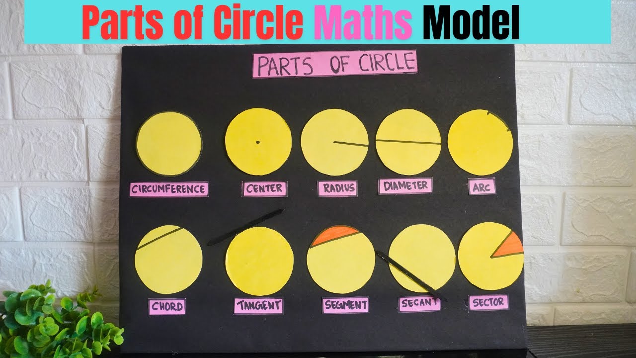 Parts Of Circle Model | Maths Project model | Maths tlm | Maths ...