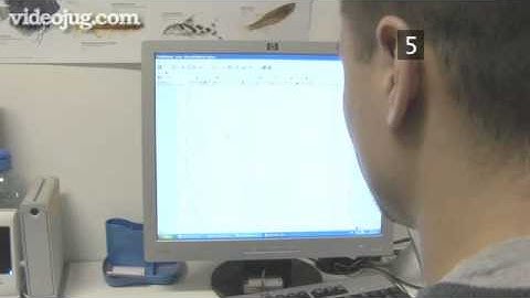 How To Get Rid Of Annoying Spam Emails