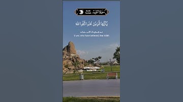 القرآن 🤲❤️#سورة توبة#تلاوات#القرآن#صوت جميل #youtube#shortvideo